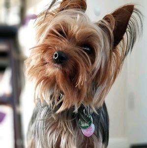 Meet your Posher, Eric